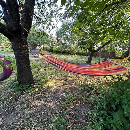 Gemuetliches Landrefugium Auf Privatem Pferdehof Apartmán